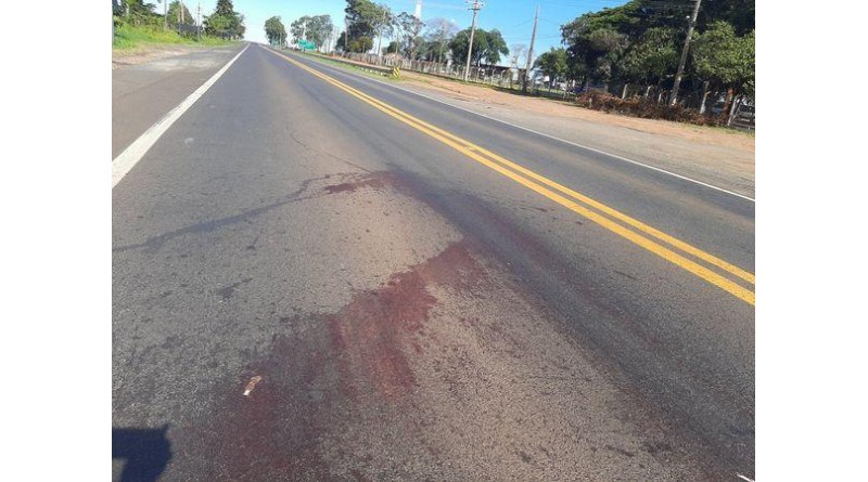 Morador é atropelado e morre em rodovia de Paraguaçu Paulista
